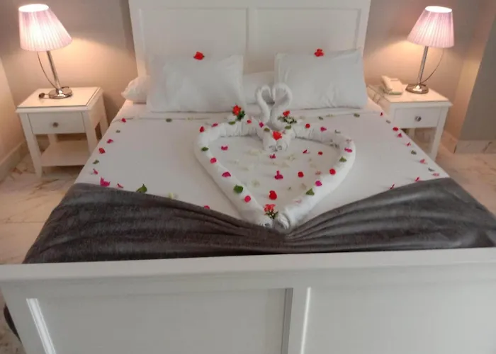 Hotel Tiba Rose 3*